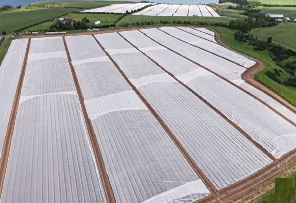 Crop protection cover